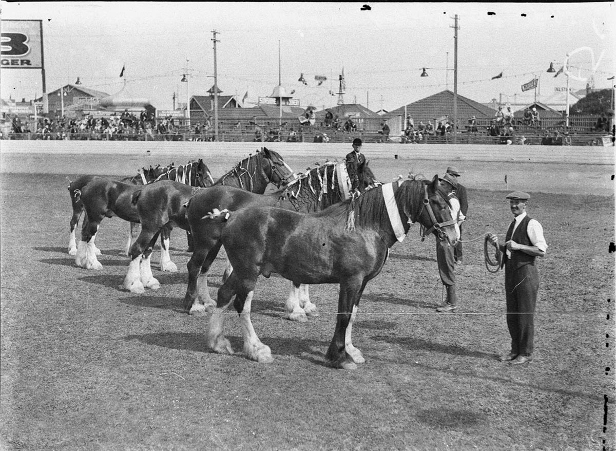 The winning Clydesdale team of four (1925–57)