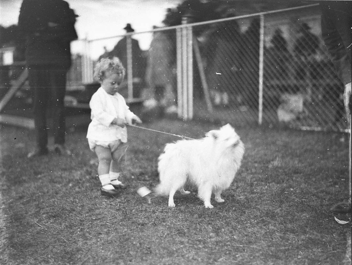 Tiny child with Pomeranian dog (1930s)