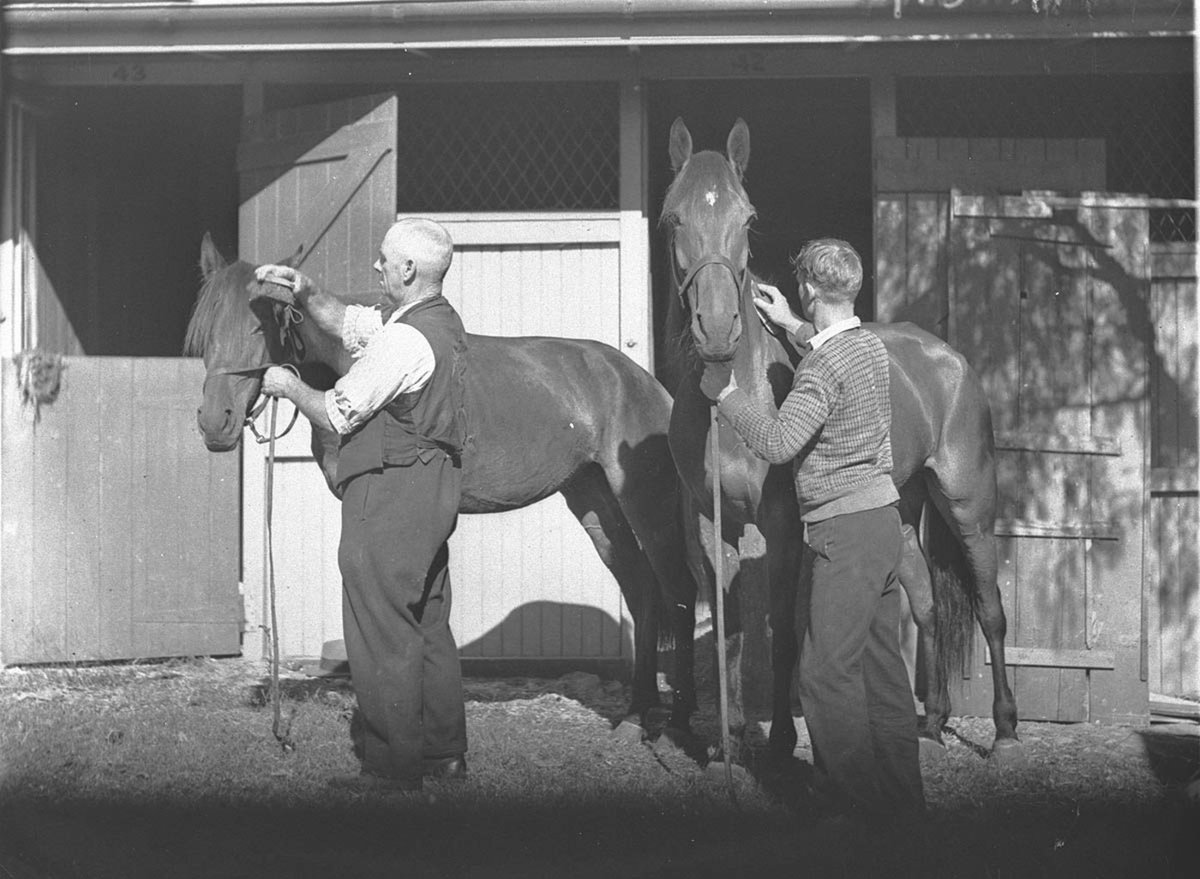 Two men grooming two horse exhibits (c. 1932)