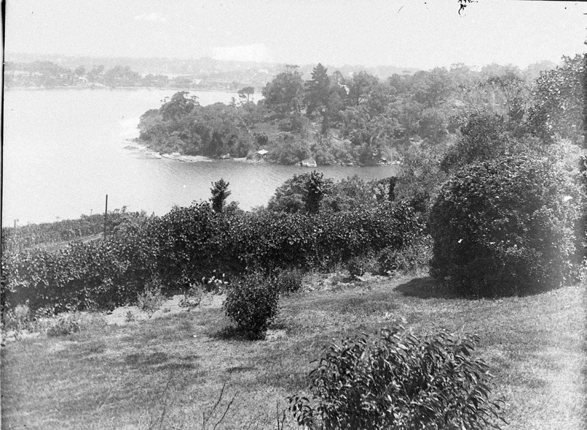 Unidentified section of Lane Cove River (1930s)