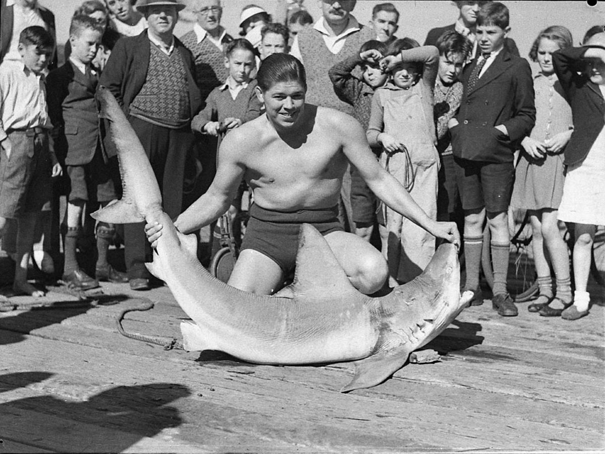 Vic Christie with shark at Double Bay taken for Stadiums Ltd (1937)