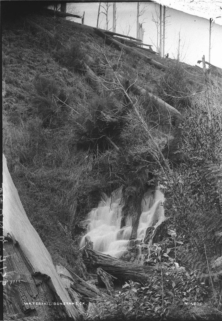 Waterfall at Dunstans Creek Mirboo (1930s)