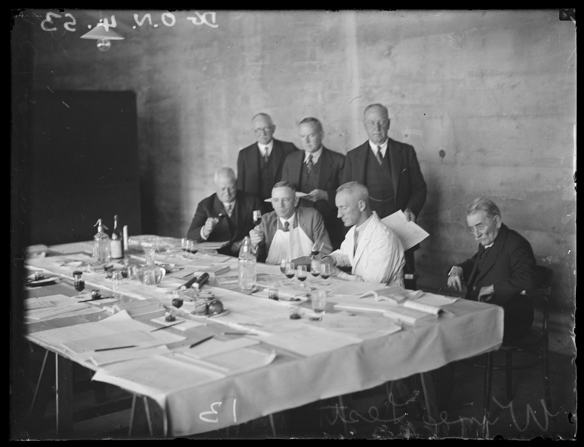 Wine judging at the Royal Agricultural Show, Moore Park (1934)