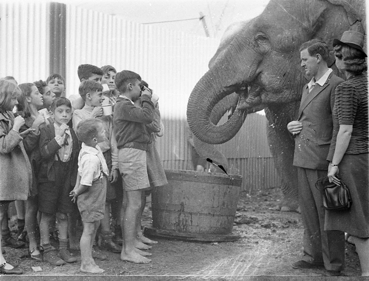 Wirths Circus (1941)