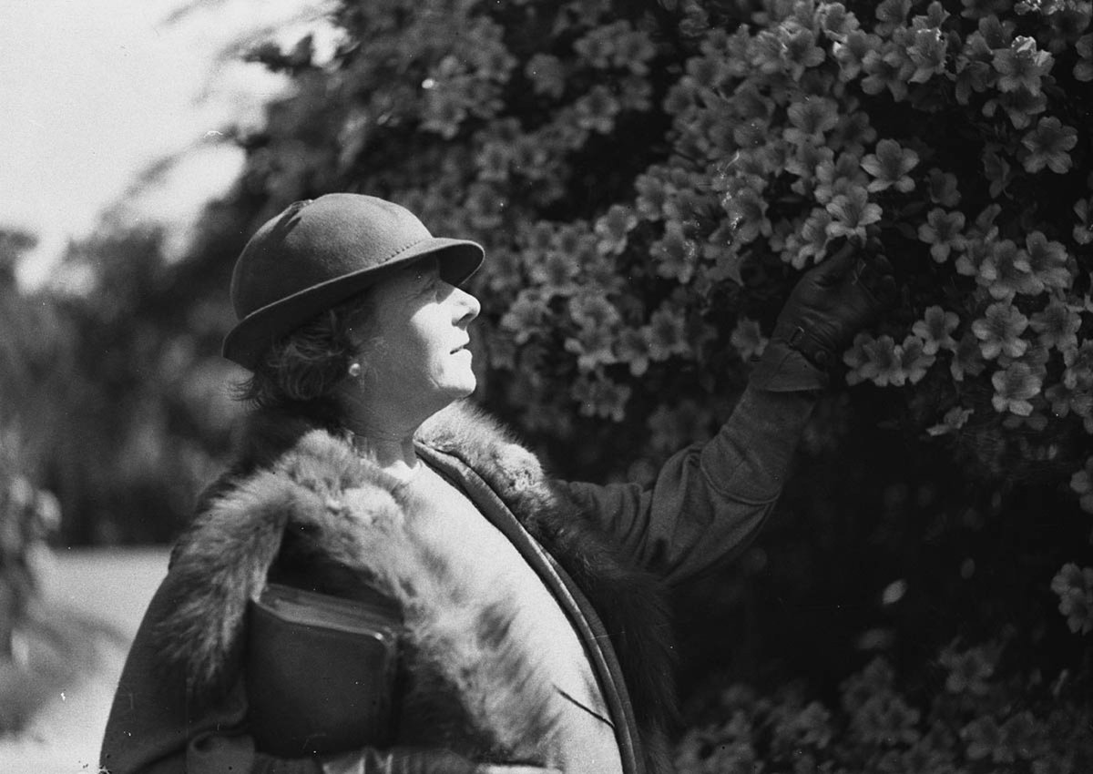Woman admires the spring flowers in the Botanic Gardens, Sydney city centre (1934)