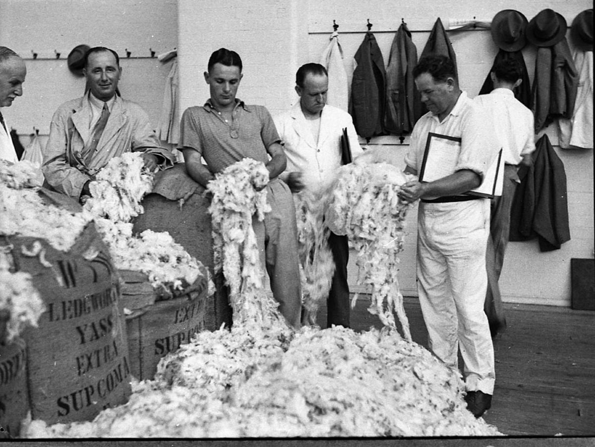 Wool clips Pyrmont (1937)