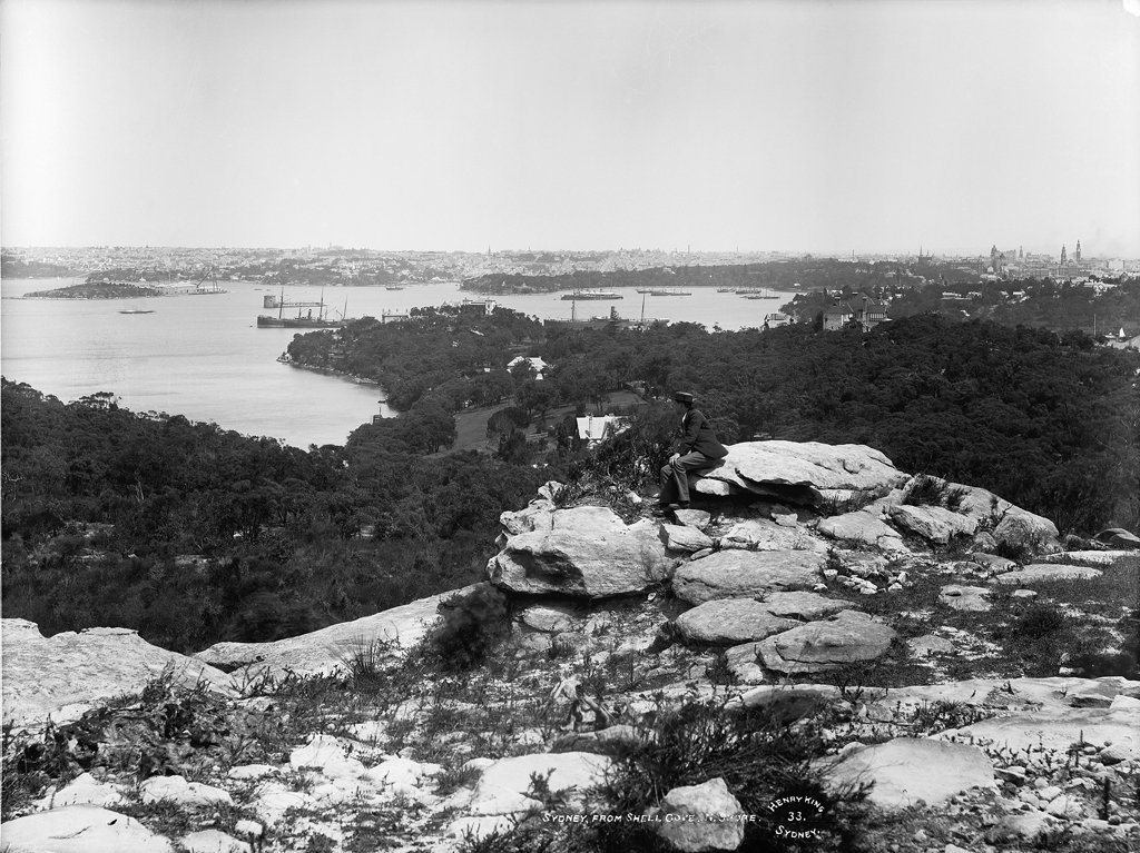 Sydney from Shell Cove, North Shore, c 1900 (c. 1900)
