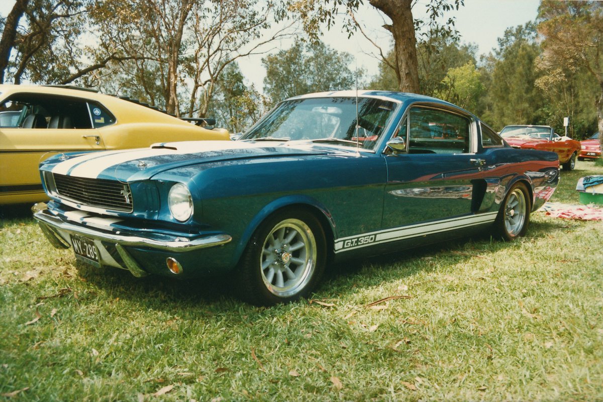 1966 Ford Mustang Shelby GT350, Narrabeen