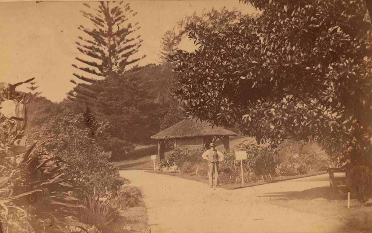 In the Botanic Gardens, 1864-1866, by J.R. Clarke, Sydney city centre (1864–66)