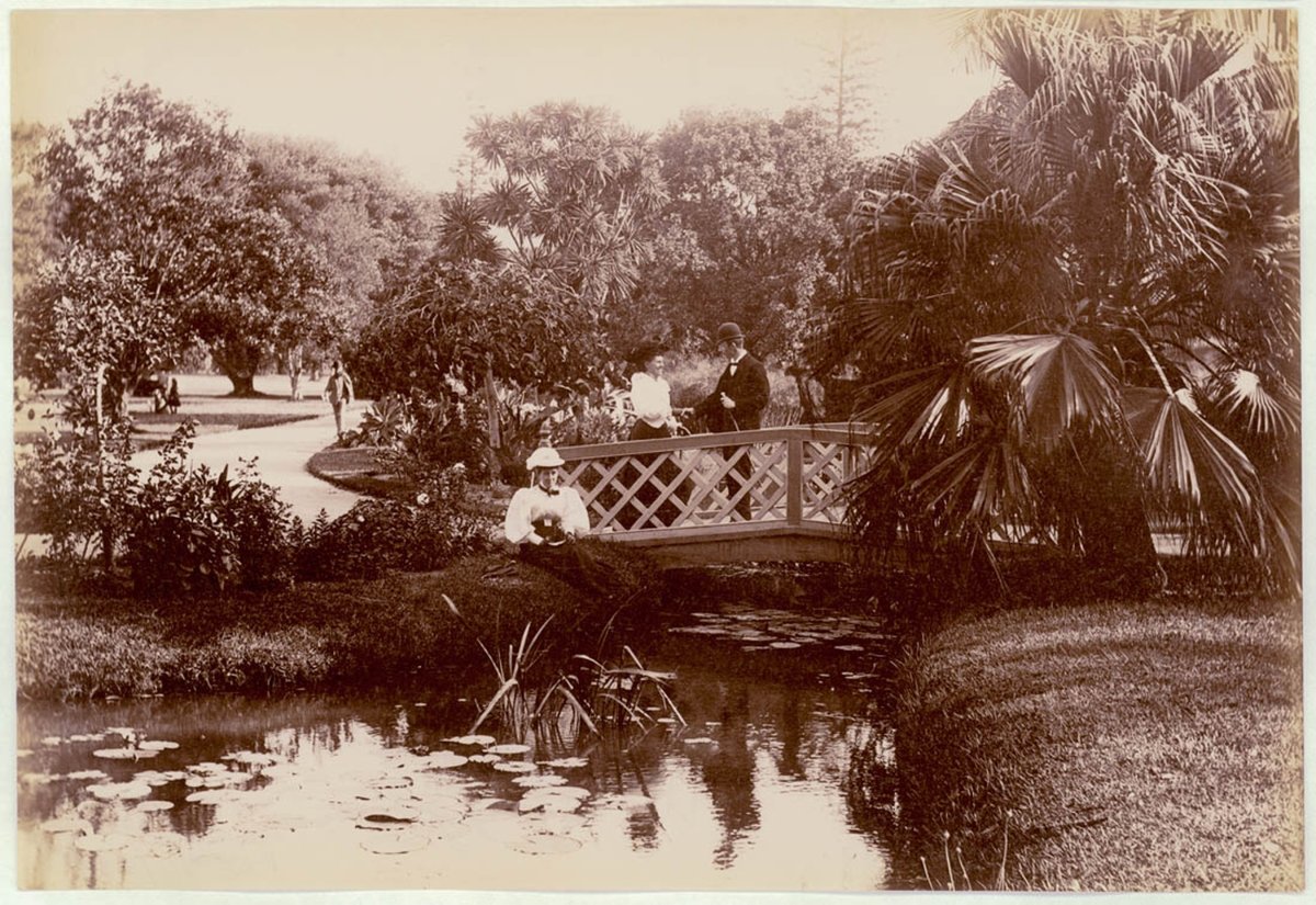 Botanical Gardens, Sydney, c. 1900-1910, Sydney city centre (1900–10)