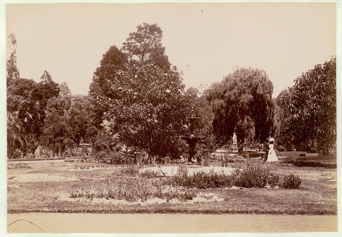 Botanical Gardens, Sydney, c. 1900-1910, Sydney city centre (1900–10)