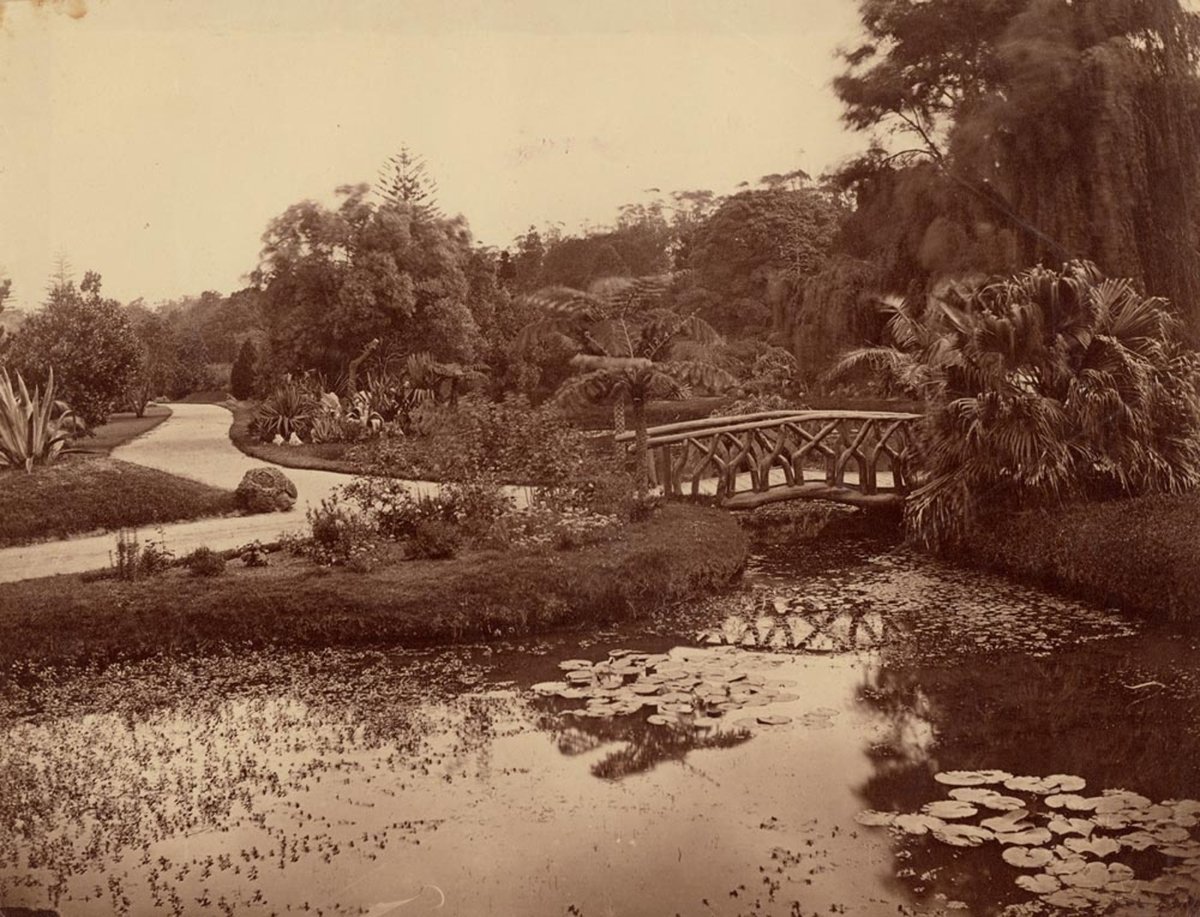 Pond and bridge, Botanic Gardens, Sydney - attributed to the photographer William Vosper, Sydney city centre (1880s)