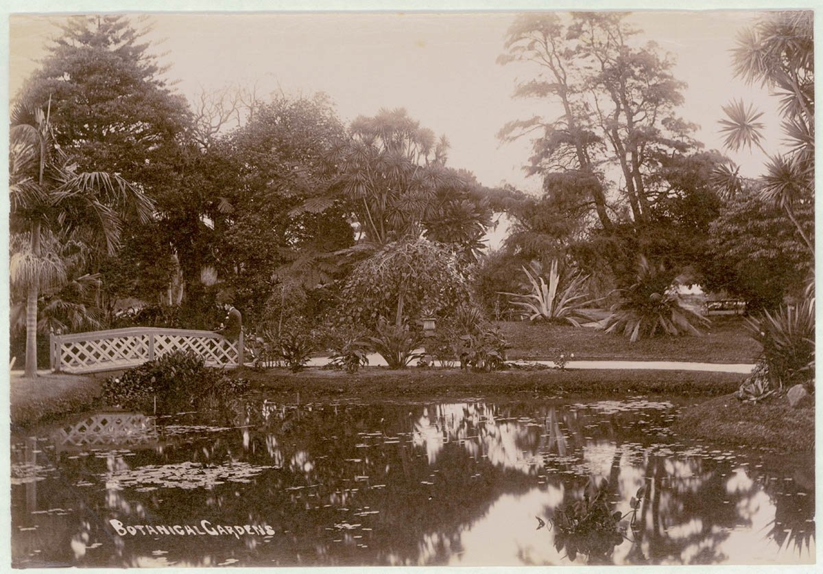 Botanical Gardens, Sydney, c. 1900-1910, Sydney city centre (1900–10)