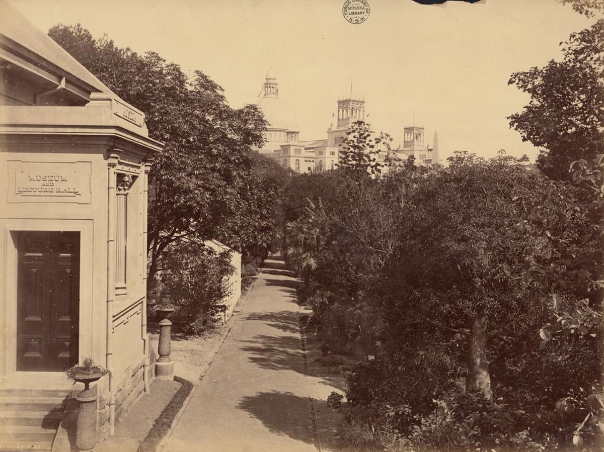 Botanic Gardens (Sydney - attributed to the New South Wales. Government Printing Office), 1879, Sydney city centre