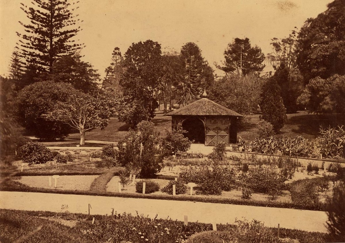 Sydney Botanic Gardens, ca. 1879-1882, Sydney city centre (1879–82)