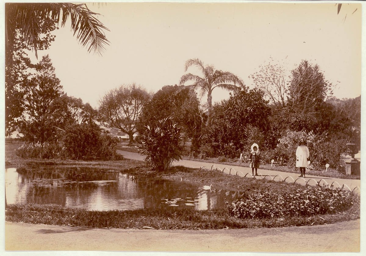 Botanical Gardens, Sydney, c. 1900-1910, Sydney city centre (1900–10)