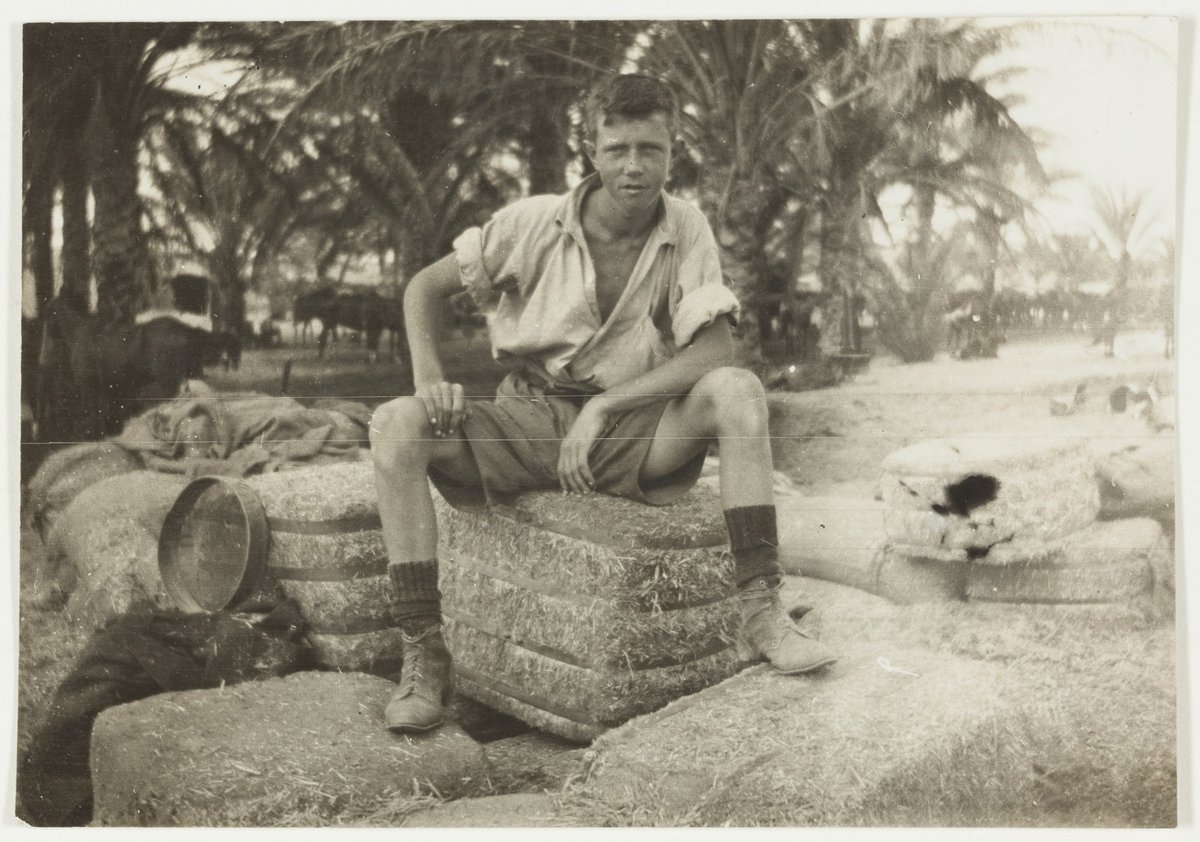 Trumpeter Mulready by J.F. Smith of the 7th Light Horse in Egypt and Palestine, c. 1914-1918, Sydney (1914–18)