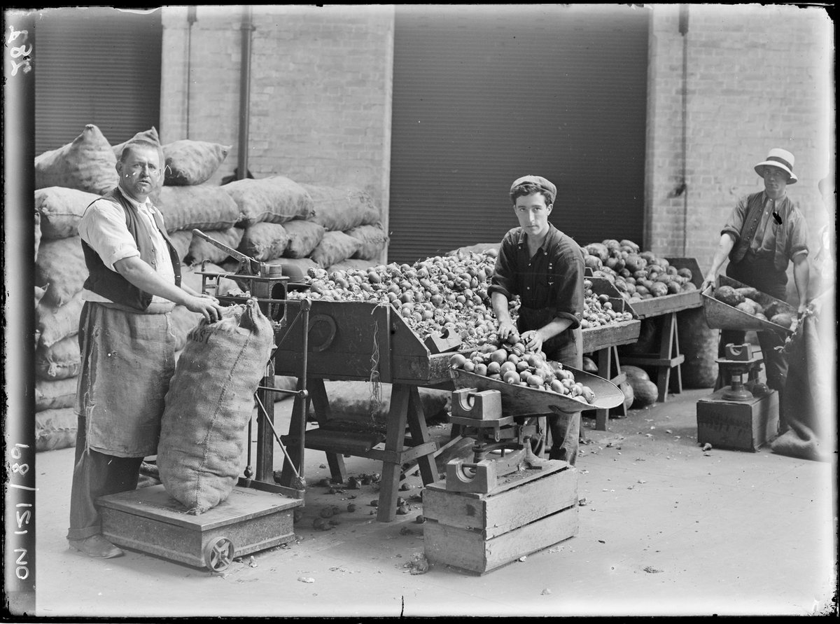 Sydney markets, by Rex Hazlewood, c. 1911-1916 (1911–16)