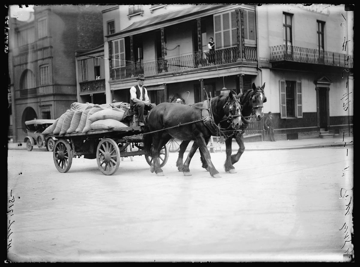 Streetscenes, from Frederick Danvers Power - photonegatives, 1898 - 1926, Sydney city centre (1898–1926)