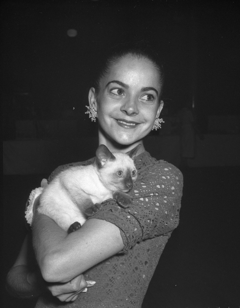 Ballerina Kathleen Gorham at a cat show, Sydney Town Hall, 2 December 1957 - photographer Jack Hickson, Sydney city centre