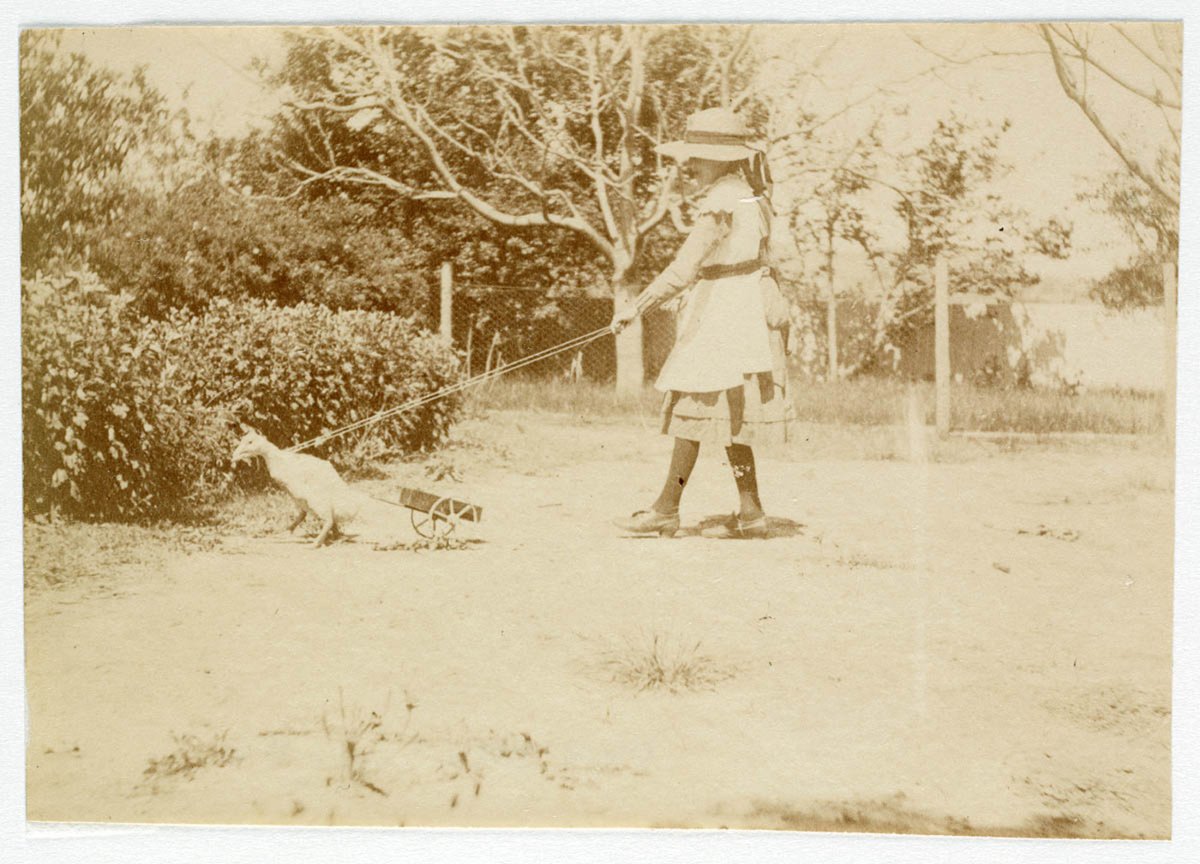 Girl with pet duck on lead from Sydney, ca. 1885-1890 - photographed by Arthur K. Syer (1885–90)