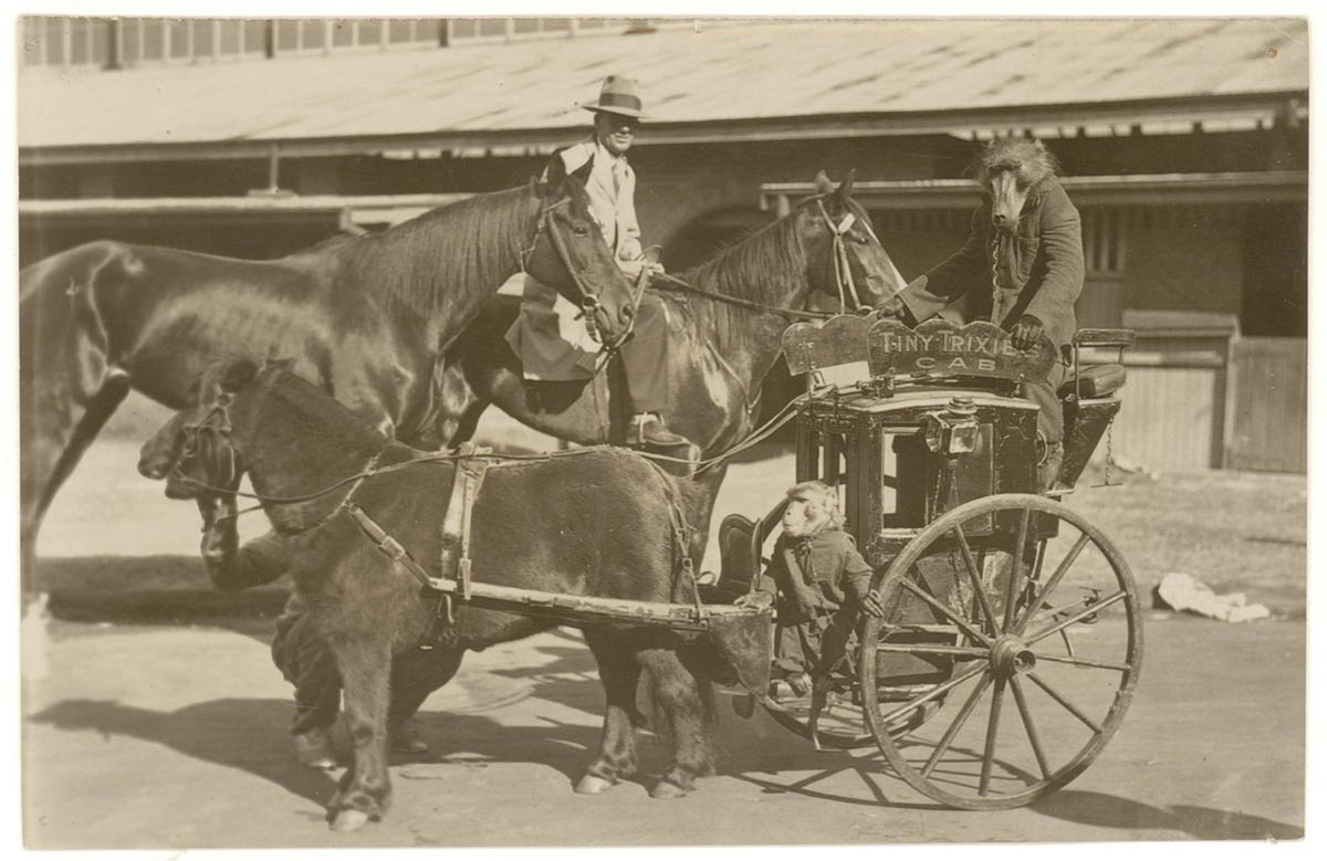 Sideshow at Royal Easter Show (Tiny Trixie's Cab), Sydney, c. 1930s, by Sam Hood, Moore Park