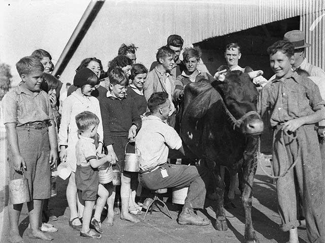 Children's Day, free milk straight from the cow! Royal Easter Show, Sydney, c.1930s - Sam Hood, Moore Park