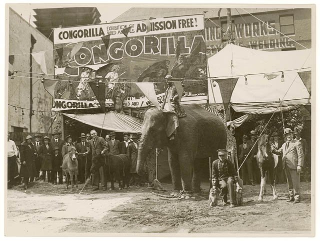Congorilla sideshow, Sydney, 1930s - Sam Hood, Sydney city centre