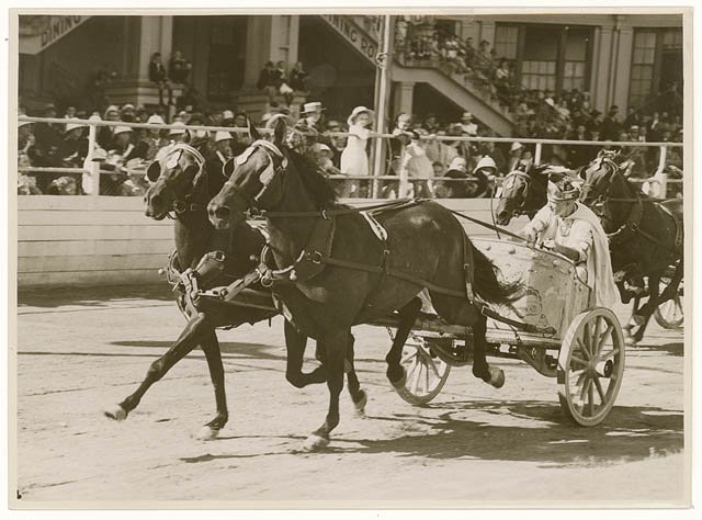 Chariot race, Royal Easter Show, Sydney, 1930s - Sam Hood, Moore Park