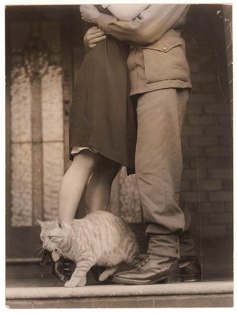 Soldier's goodbye and Bobbie the cat, ca. 1939-ca. 1945 - by Sam Hood (1939–45)