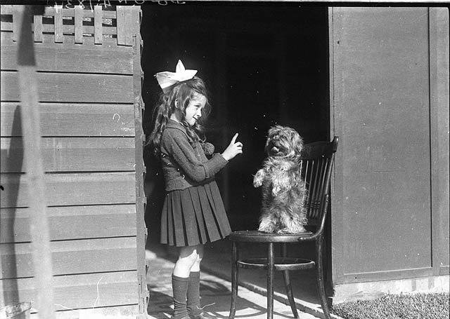 Study of a girl with ringlets teaching her dog to sit up, 1930s - by Sam Hood