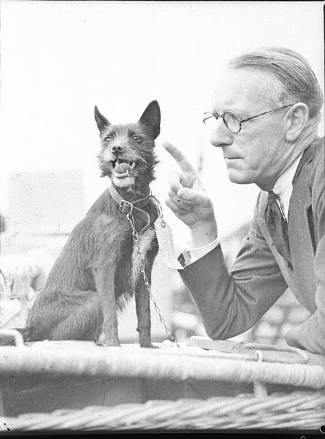 Artist and dog arrive by Melbourne Express (taken for J.C. Williamson), 10-12-1937 - byTed hood, Sydney