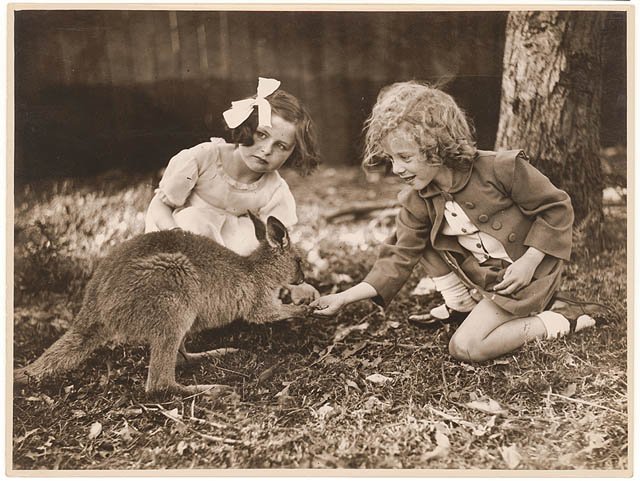 Kangaroo and girls, ca. 1925-ca. 1945 - by Sam Hood (1925–45)