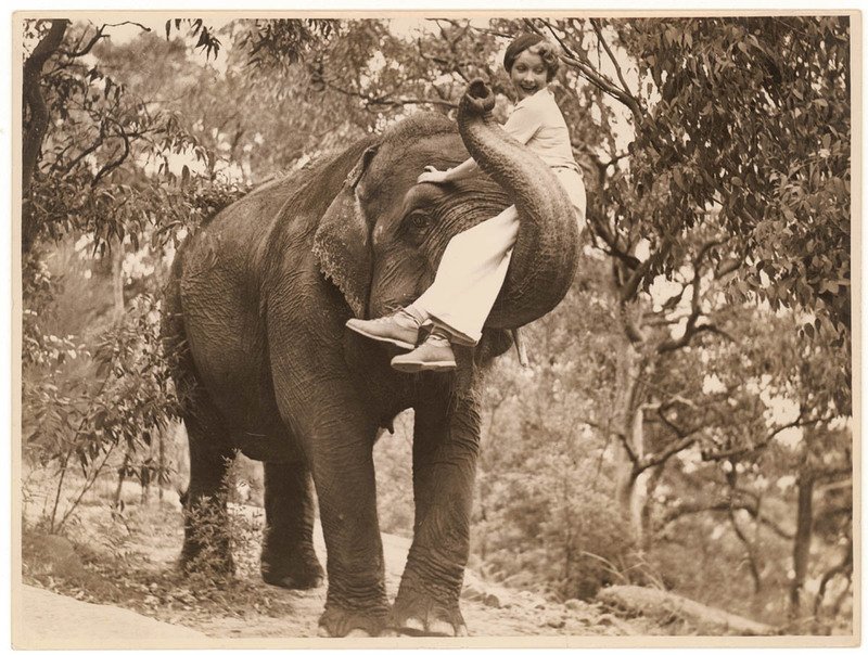 Film star Helen Twelvetrees on an elephant, Taronga Park Zoo, Sydney, 1936-7 - Sam Hood, Mosman (1935–36)
