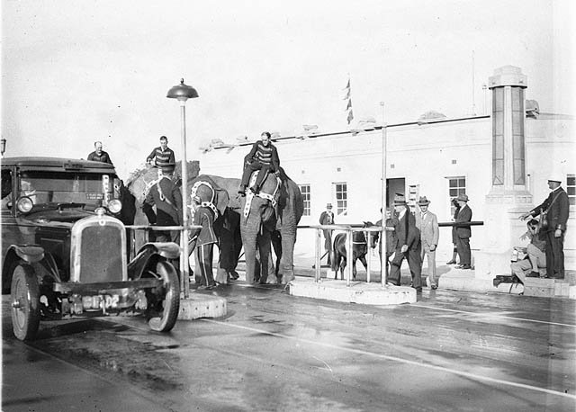 Elephants and a pony at Bridge toll bar, 3 April 1932 - photographed by Sam Hood, Sydney Harbour