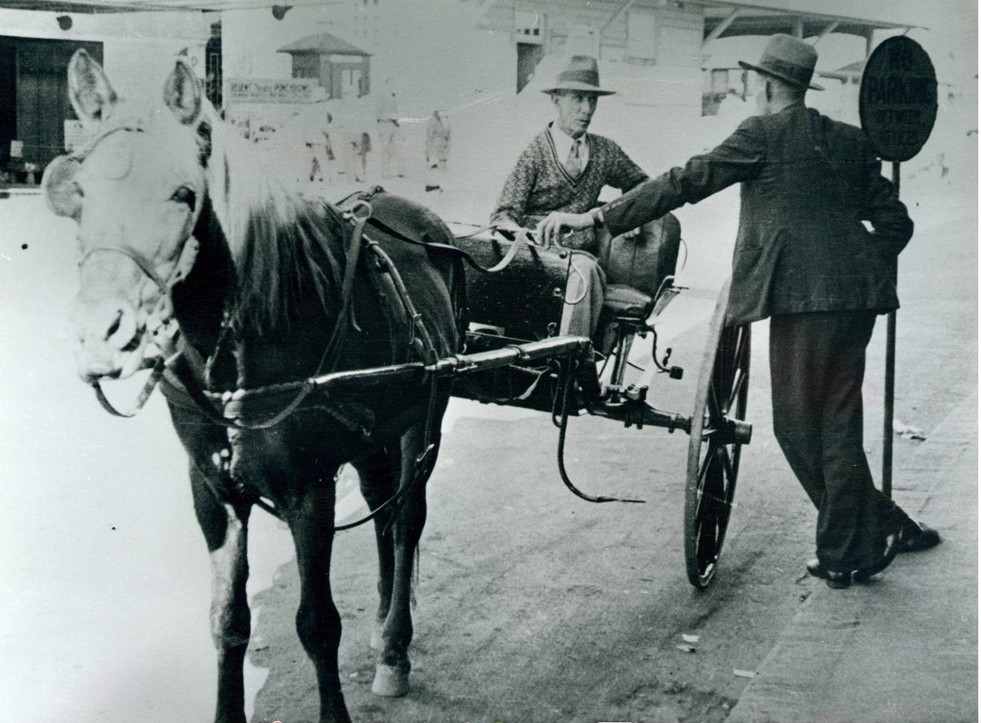 Jim Palmer, Bankstown Council Storeman, in sulky on Marion Street, Bankstown, undated (c. 1917)