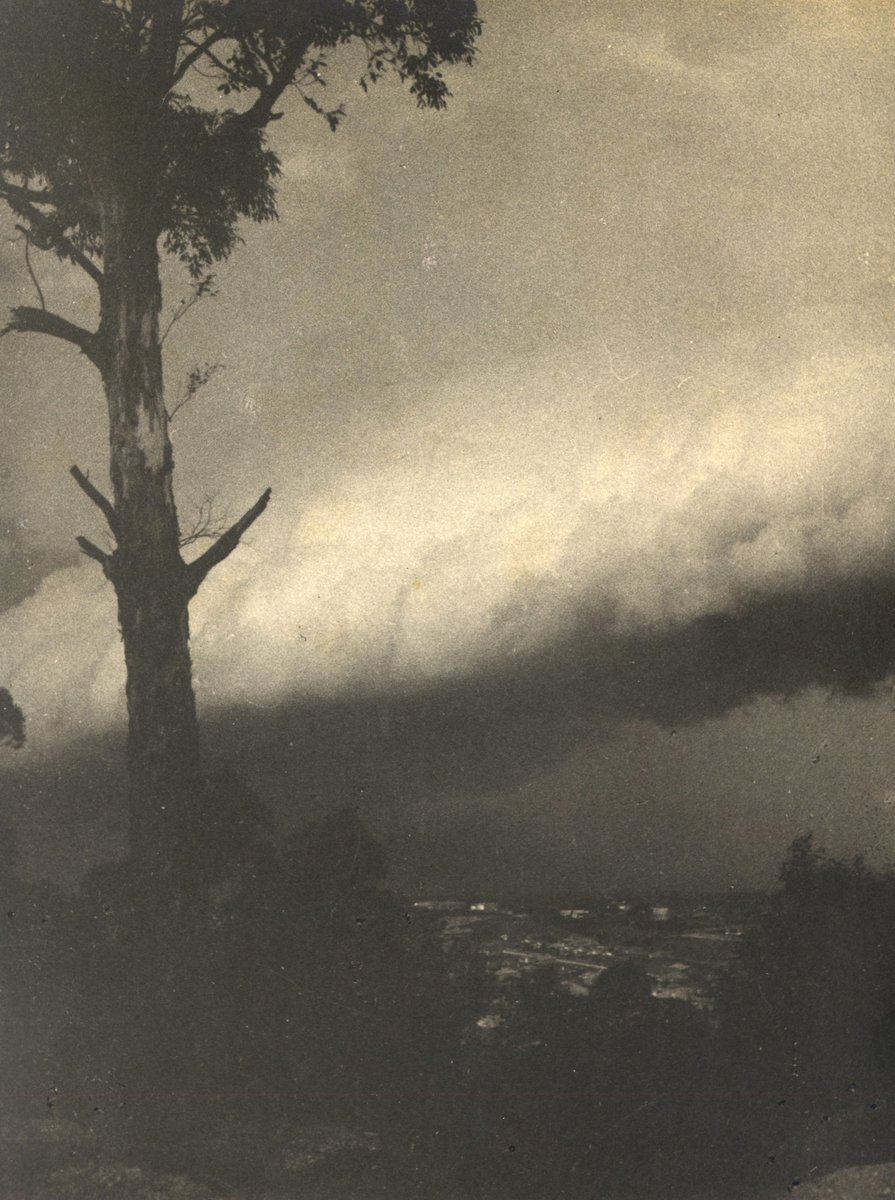 'The Climax' RAHS-Osborne Collection, Sydney (1930)