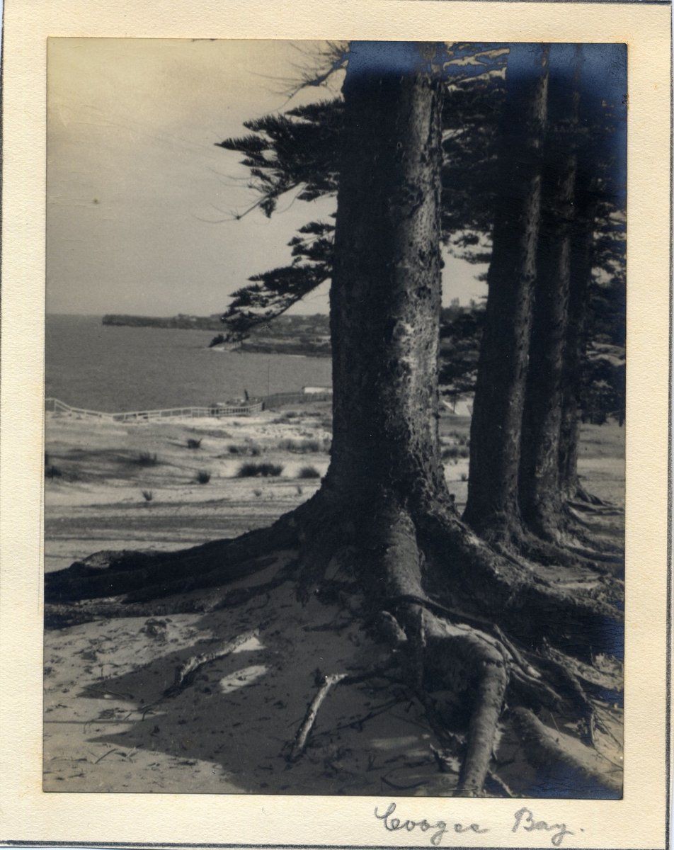 'Coogee Bay' RAHS-Osborne Collection, Sydney (1930)
