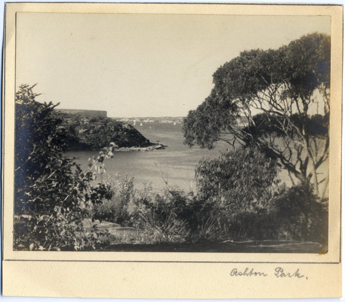 'Ashton Park 4' RAHS-Osborne Collection, Sydney (1930)