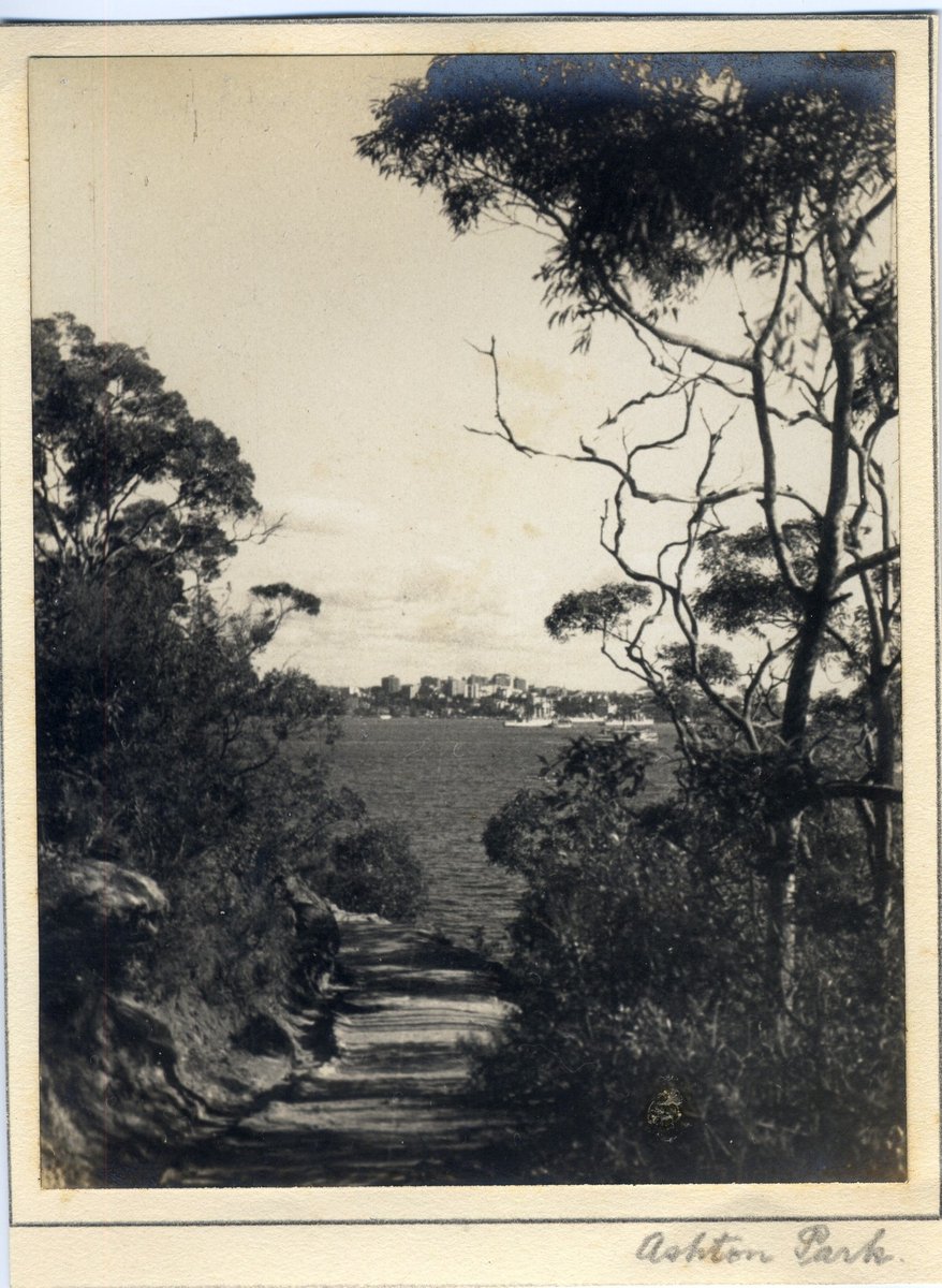 'Ashton Park' RAHS-Osborne Collection, Sydney (1930)