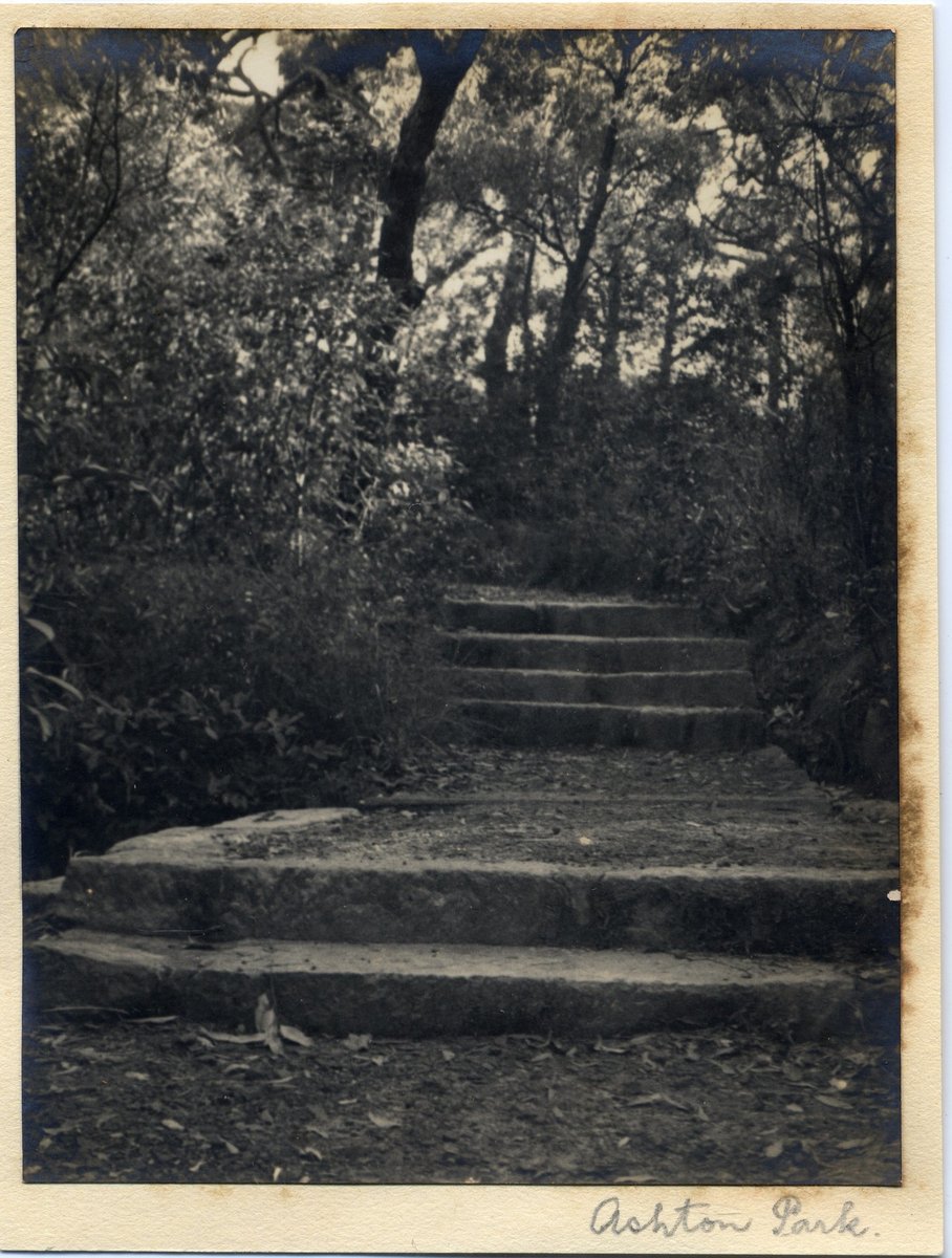 'Ashton Park 3' RAHS-Osborne Collection, Sydney (1930)