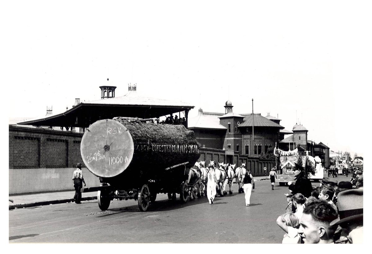 Forestry Industry float- “Australia's March to Nationhood” Australian 150th Anniversary Celebration, Moore Park (1938)