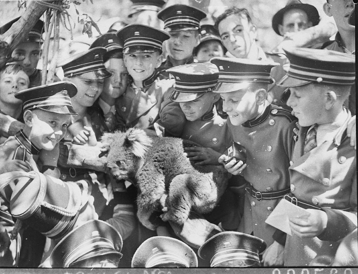 Adelaide Boys' Band at Koala Park, 15 January 1937 - by Sam Hood, West Pennant Hills