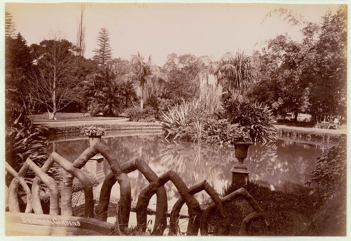 Botanical Gardens, Sydney, c. 1900-1910, Sydney city centre (1900–10)