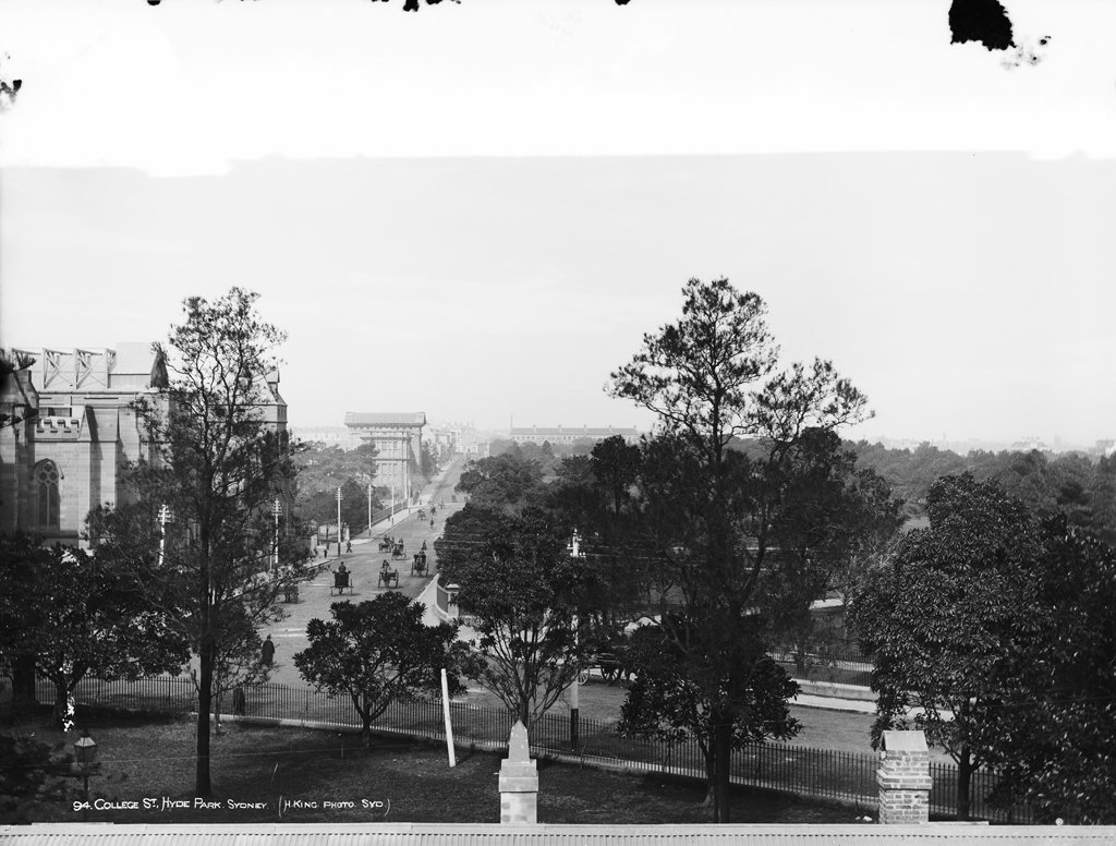 College Street, Hyde Park, Sydney from The Powerhouse Museum Collection, Sydney city centre (c. 1900)