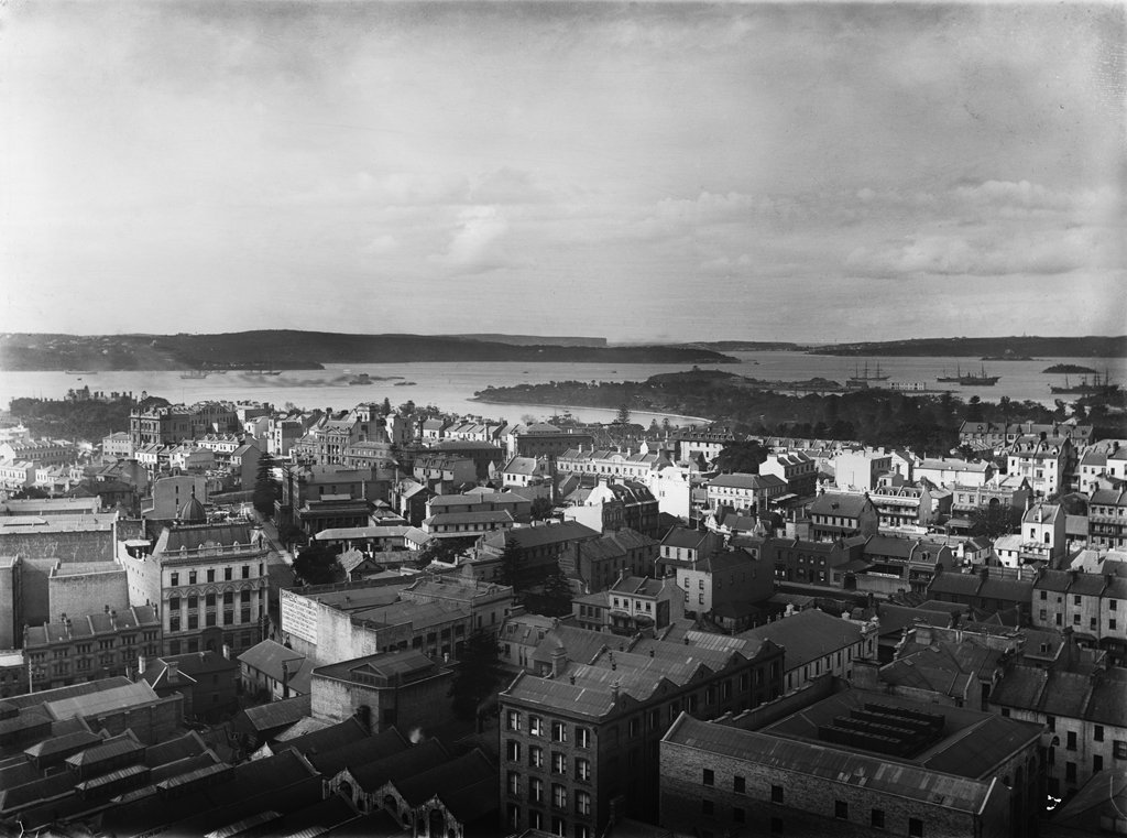 Sydney from GPO tower looking north-east from The Powerhouse Museum Collection, Sydney city centre (c. 1900)