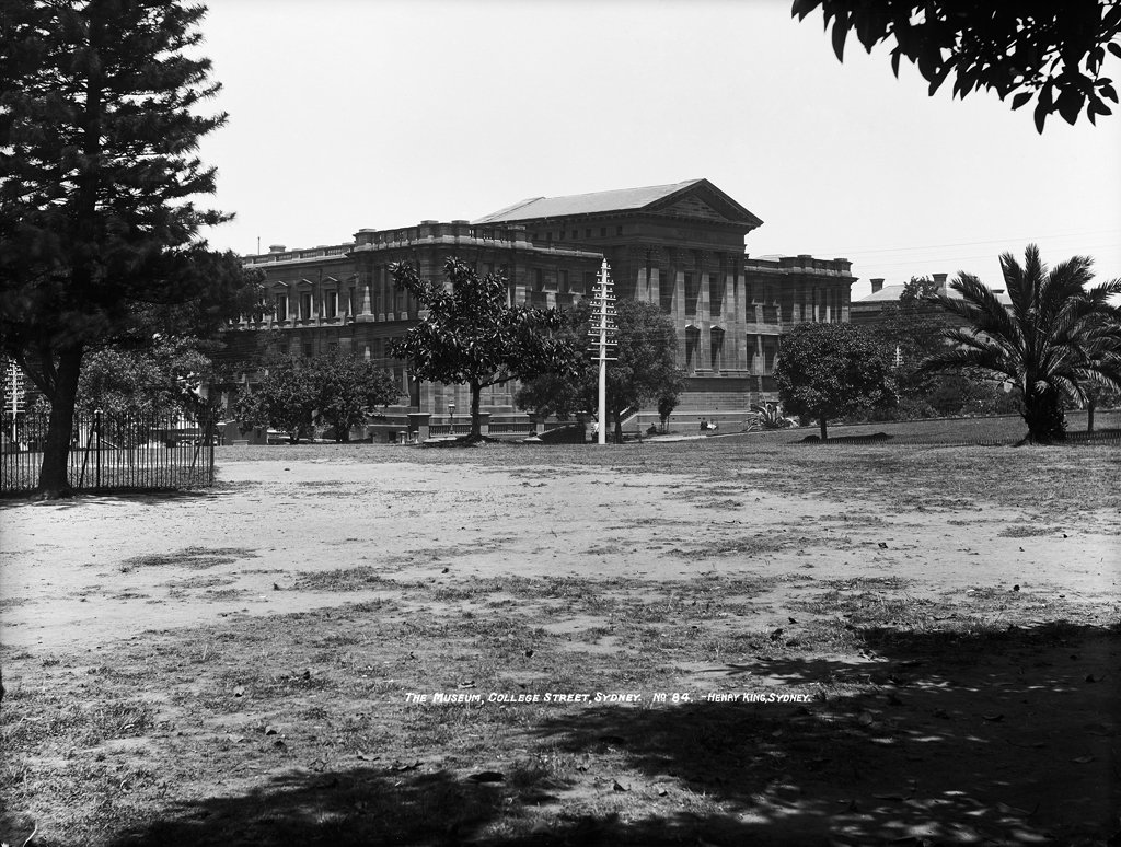 The (Australian) Museum, College Street, Sydney from The Powerhouse Museum Collection, Sydney city centre (c. 1900)