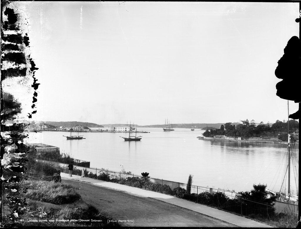 Looking down the harbour from Domain, Sydney, Sydney Harbour (1900)