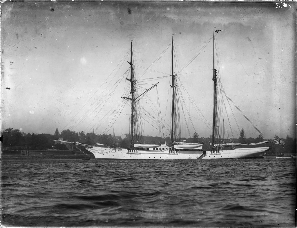 Three masted sailing vessel on Sydney Harbour, Norfolk pines in background (1893–1912)