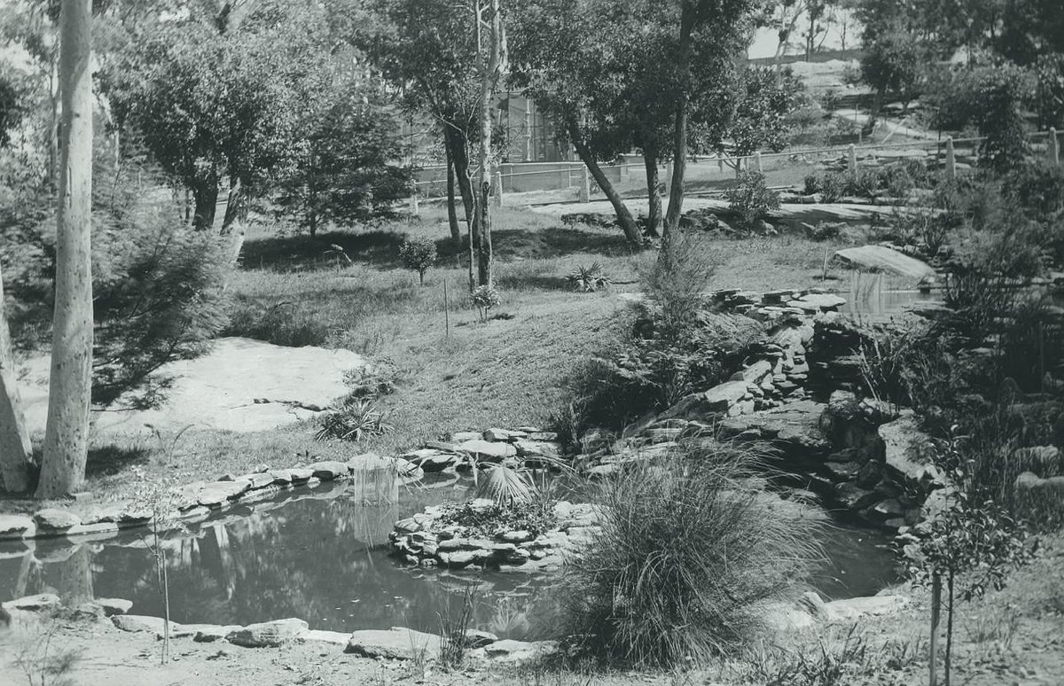 Taronga Park Zoo - 1924, Mosman
